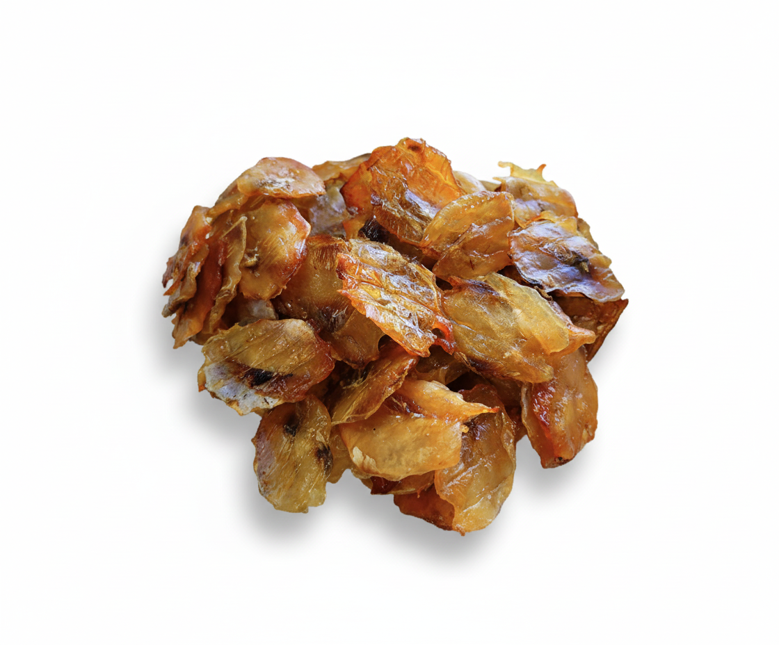 Little Coin Dried Filefish